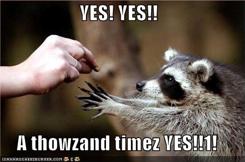 Picture wars-funny-pictures-racoon-yes-jpg