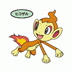 chimchar5