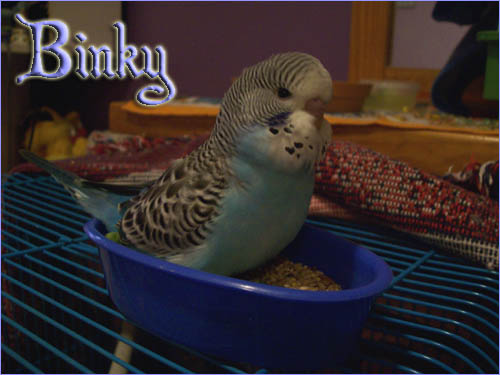 Binky when he was only young.