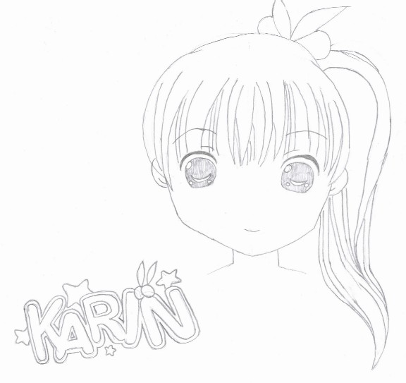 karin