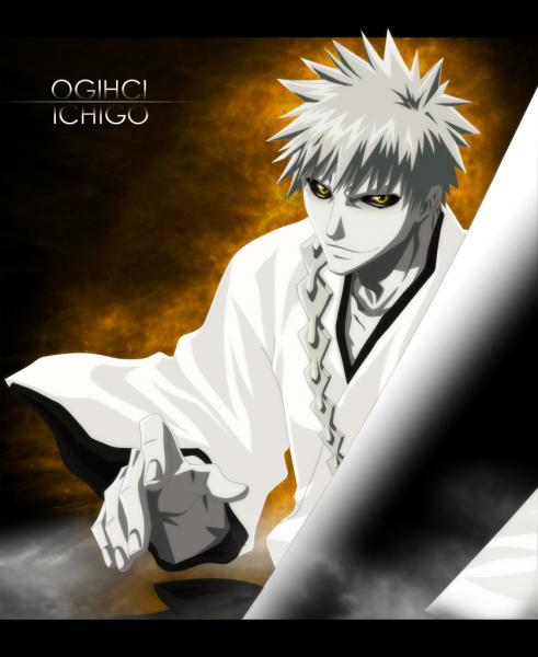 Ichigo2[1]