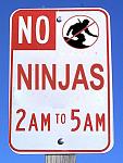 no ninjas[1]