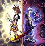 The Light and the Twilight kingdom hearts 1141409 662 672