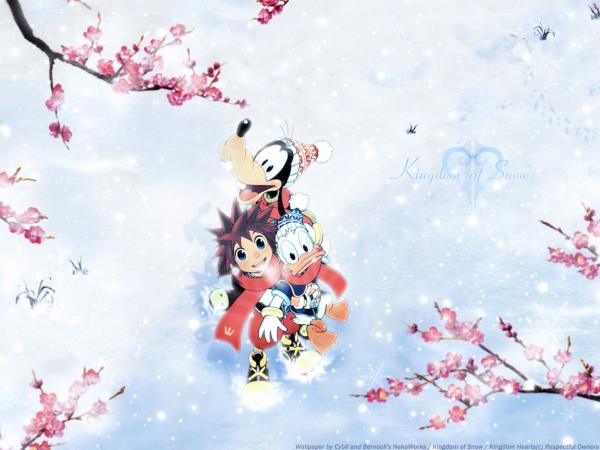 %5BAnimePaper%5Dwallpapers Kingdom Hearts Bernouli(1.33) 1600x1200 69740[1]