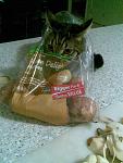 There's a cat in my potatoes!