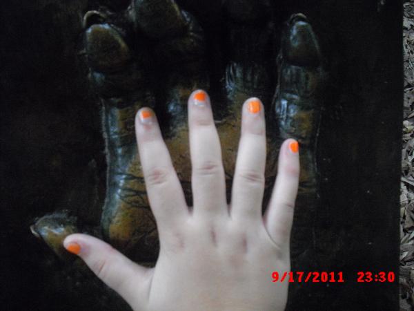 Pretty picture of my hand compare to that of a gorilla's lol ;) I <3 the Zoo :)  (Ignore my fading orange nailpolish ;)) ===Funny thing..this picture was taken Oct.13,2011 and it says sometime in September? I think my camera's settings are messed up! :'O ====