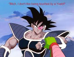 Turles hates Yoshi's