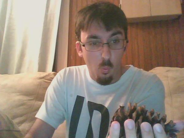 Sweet, a pine cone!!