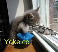 SNIper HEHE!!!!

DIE
