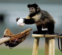 I play basball too!
Im american