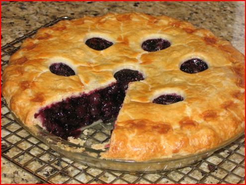 The cake is a lie-blueberry%u00252520pie-jpg